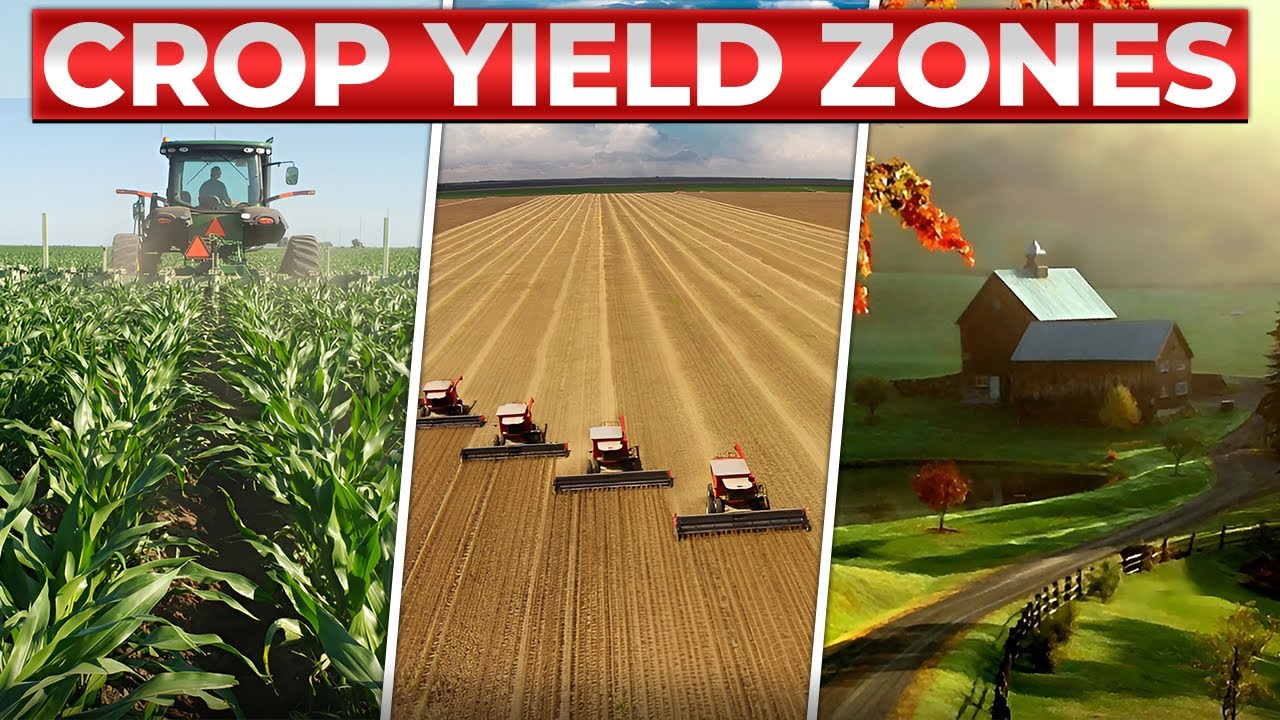Топ-10 мест в США для выращивания пропашных культур.