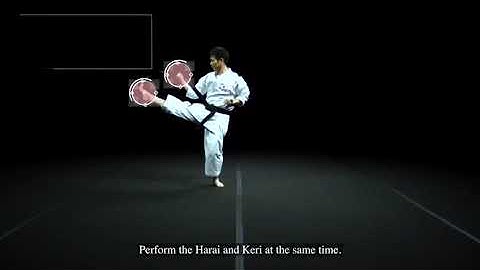 Shito-Ryu Karate Heian Shodan, 360 view