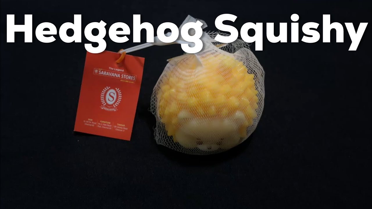 Hedgehog Squishy