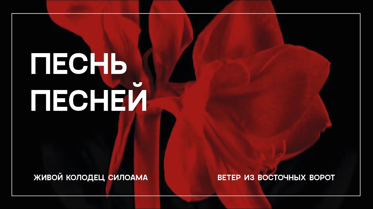 Песнь песней это конец