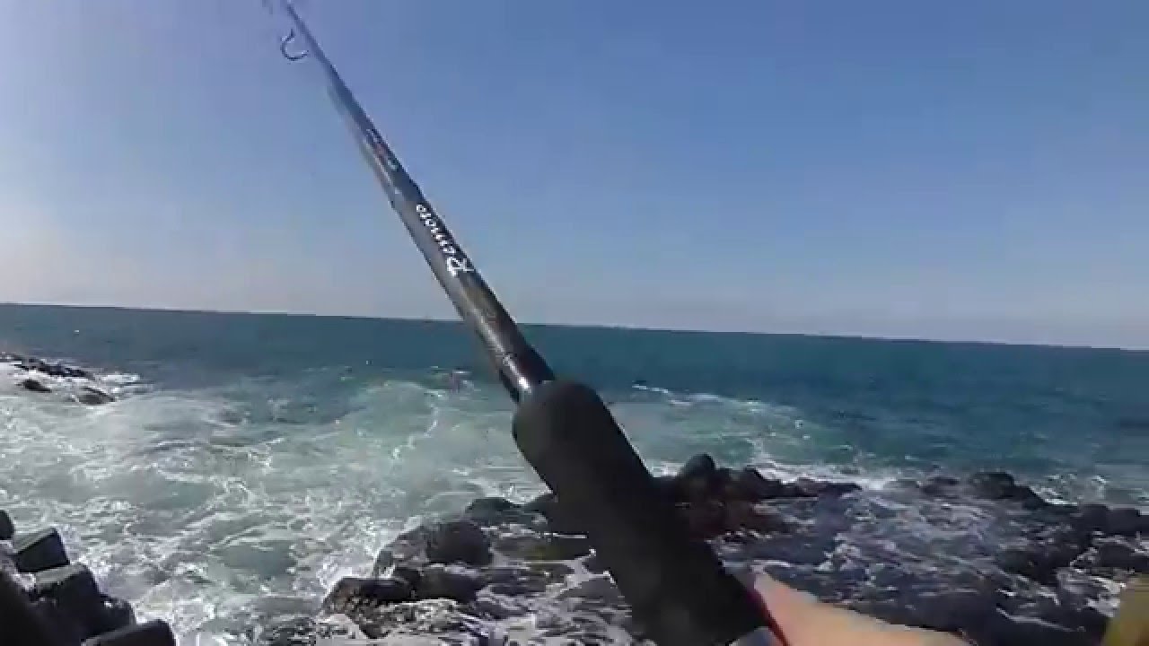 磯マル ルアーでシーバスフィッシング Youtube