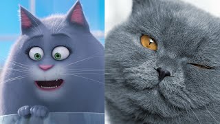 Тайная жизнь домашних животных в реальной жизни!Все персонажи !!! Тайная жизнь домашних животных в реальной жизни!Все персонажи !!!