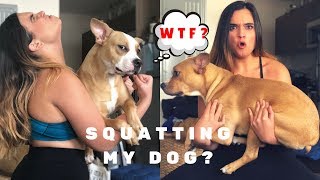 5 Workout Motivation Tips I Use My Dog As A Dumbbell?????