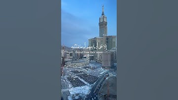سوره المؤمنون بصوت الشيخ #ياسر_الدوسري #رمضان #اكسبلور #قرآن #ليلة_القدر #لايك #راحة_نفسية