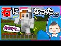 石化してしまったぴのを救い出せ!!😱【マイクラ/まいくら】