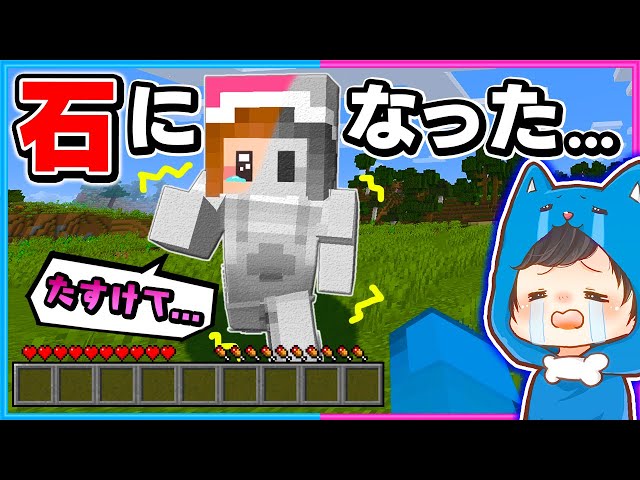 Rescue Pino who has been turned to stone!! 😱 [Minecraft] - YouTube