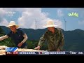 [新闻直播间]大美中国 江西乐安 毛竹迎丰收 竹农晒笋忙 | 新闻来了 News Daily