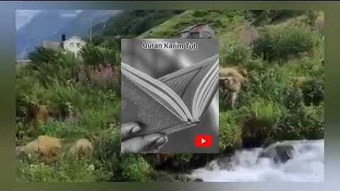 تلاوة خاشعة وآيات مباركة من سورة الكهف📚|القارئ عمر الدريويز|حالات واتس اب إسلامية💞