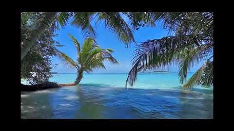 ماتيسر من سورة الفرقان - عمير شميم