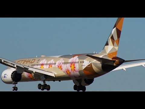 エティハド航空Boeing787-9（特別塗装） herpa wings 1/200 787-9 エティハド航空 特別塗装 
