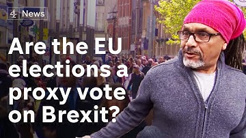 Will Euro elections be a proxy vote on Brexit?