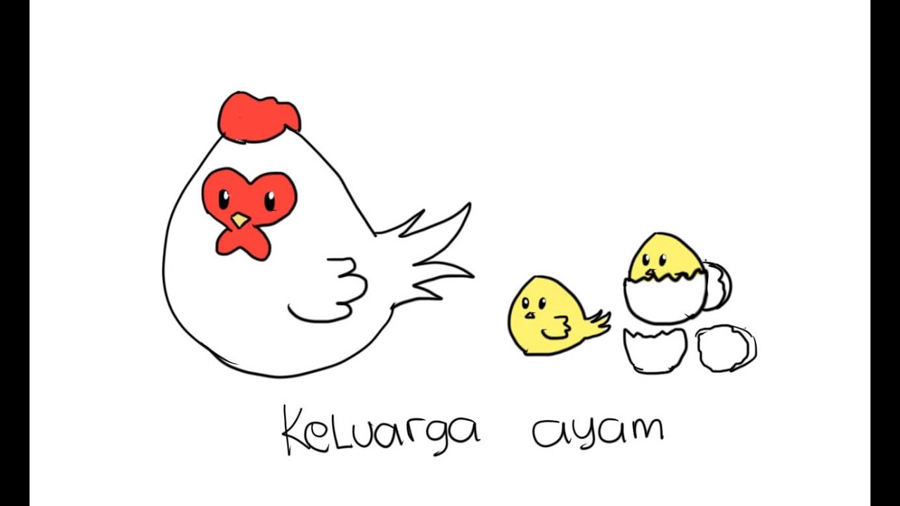 Belajar Menggambar Ayam  Untuk Anak  Anak  YouTube