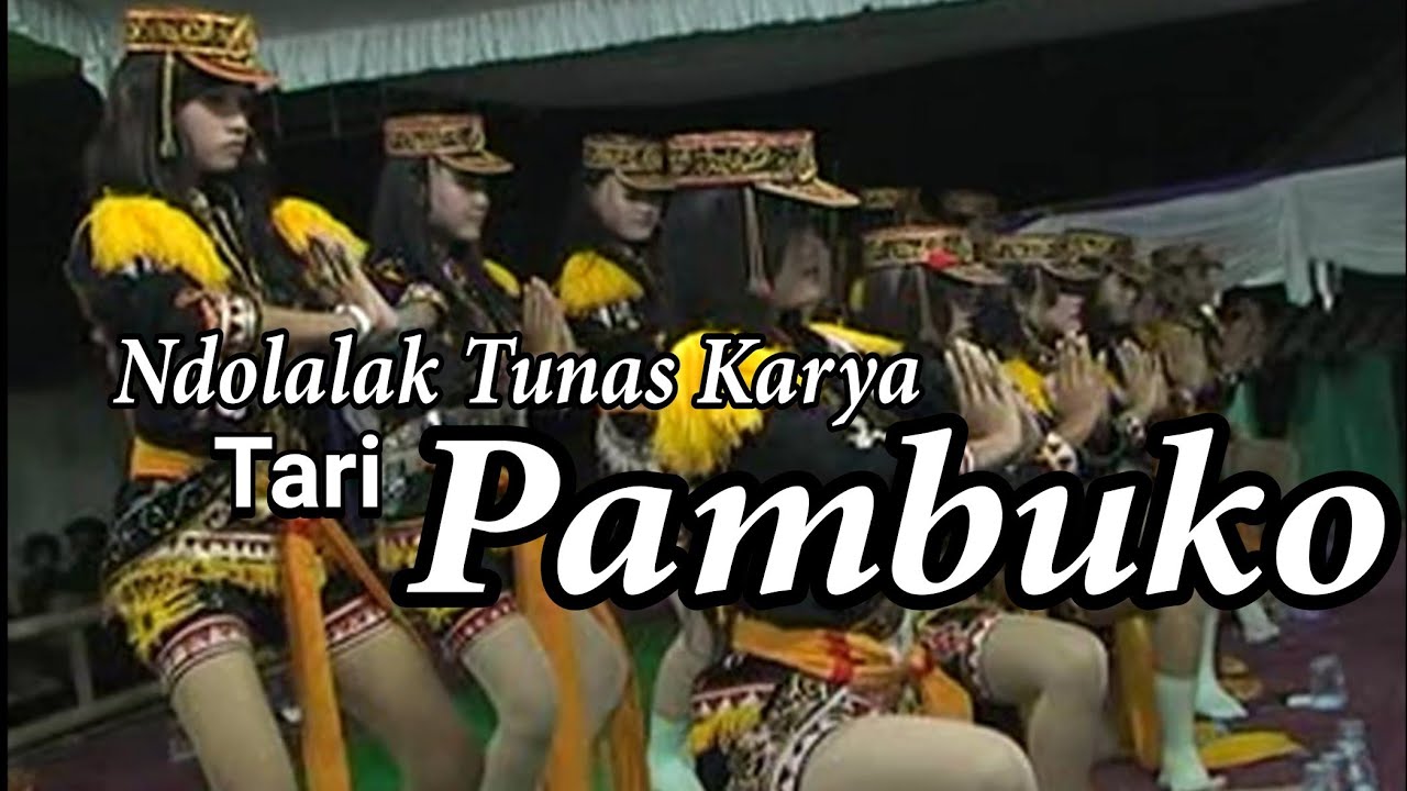 TARI PAMBUKO NDOLALAK TUNAS KARYA | Ndolalak purworejo