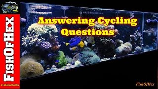Cycling A Saltwater Aquarium | Answering Beginner Questions Part 2