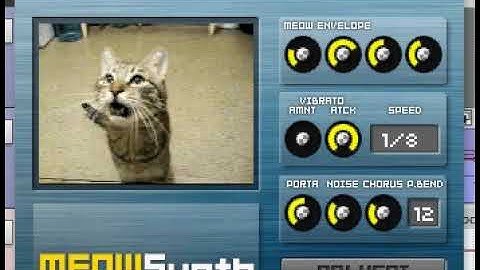 lost kitten meowsynth