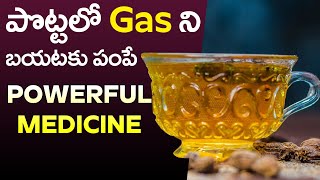 Powerful Drink to Control Gas Trouble | Benefits of Herbs & Spices | Prof Dr. K. Madhva Chetti