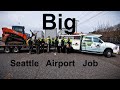 BIG Seattle Airport Job! Chopping down a bunch of trees with a skid steer.