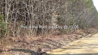 Hunt report from todays hunt- again, not a lot to see, as when the ...