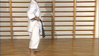 Karaté - cours 2 : positions (dachi)