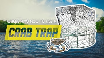 Where And How To Use Crab Trap