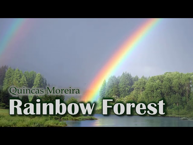 Quincas Moreira - Rainbow Forest class=