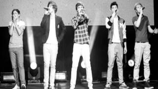 More Than This (vocals only) - One Direction (Up All Night: The Live Tour)