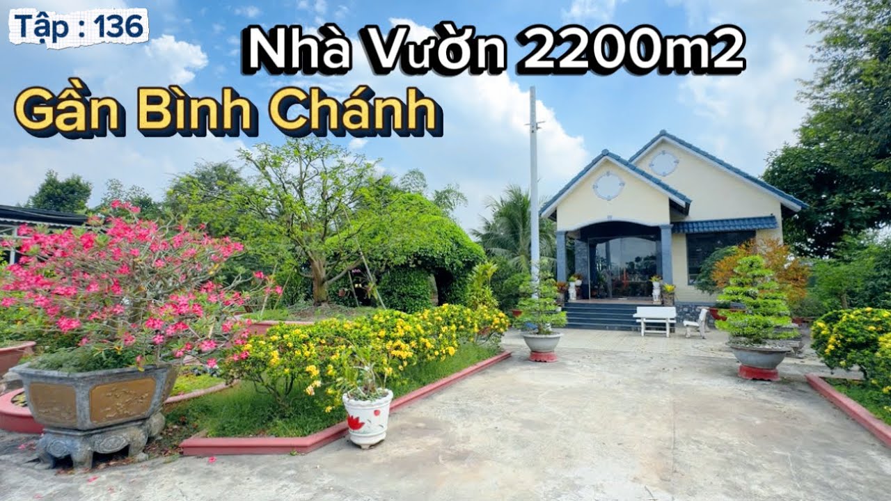 Nhà Vườn 2200m2 - Gần Chợ Bình Chánh - Gốc Cây Khủng Lâu Năm. 