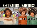 Top Oils for Black Hair | For Growth, Anti-Itch, Split Ends, Protective Styles + More