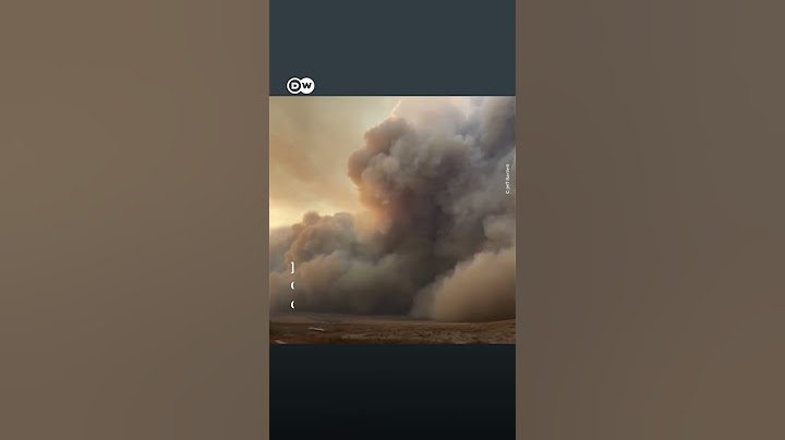 🔥Incendios forestales arrasan el norte de Texas, Estados Unidos, causando evacuaciones y cortes de