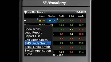 Quintell for BlackBerry - Mobile Business Dashboards