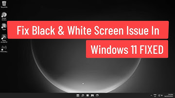 Black and White Screen Issue Windows 11 - FIXED