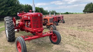 Let's Go Plowing! This Old Farm Plow Day 2022  Farmall Super M, Super C, H & Case SC Turning Ground