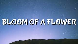 Lil Boom - Bloom of a Flower (Lyrics)