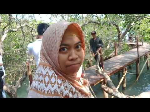 WISATA MANGROVE JEROWARU LOMBOK TIMUR