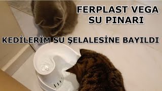 Ferplast Vega Kedi Su Pınarı Şelalesi Kutu Açılışı | Kediciklerimiz Çok Sevdi