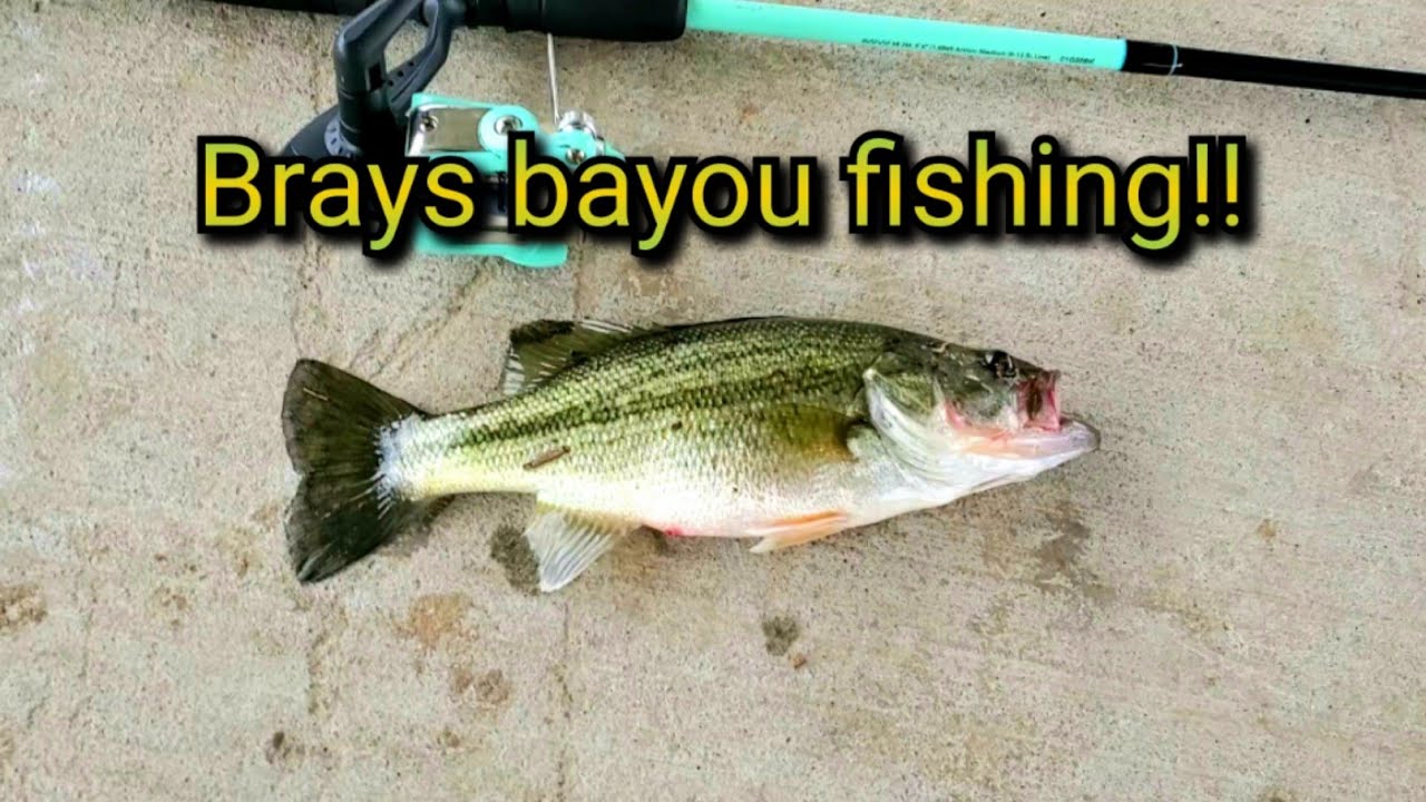 Brays bayou fishing! (Windy day) YouTube