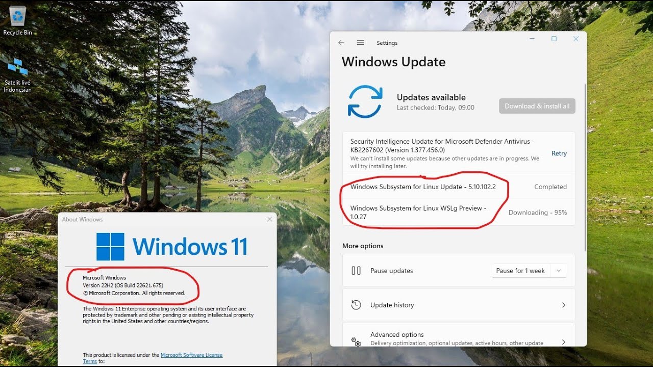202210 Cumulative Update for Windows 11 Version 22H2 for x64based