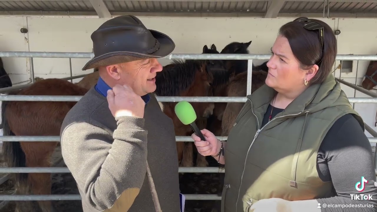 Entrevista a Germán Albuerne, tratante de caballos de Cudillero en la feria de San José.