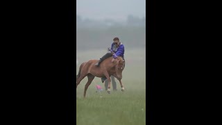 勇敢者的游戏 驯烈马 #蒙古汉子 #驯马