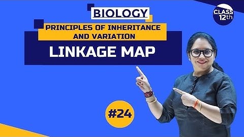 Linkage Map | Principles of Inheritance and Variation | Class12th | Part 24 |#NEET | #CBSE |#ncert