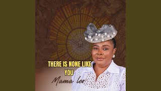There is None Like You