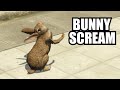 Bunny attack gta 5 rp