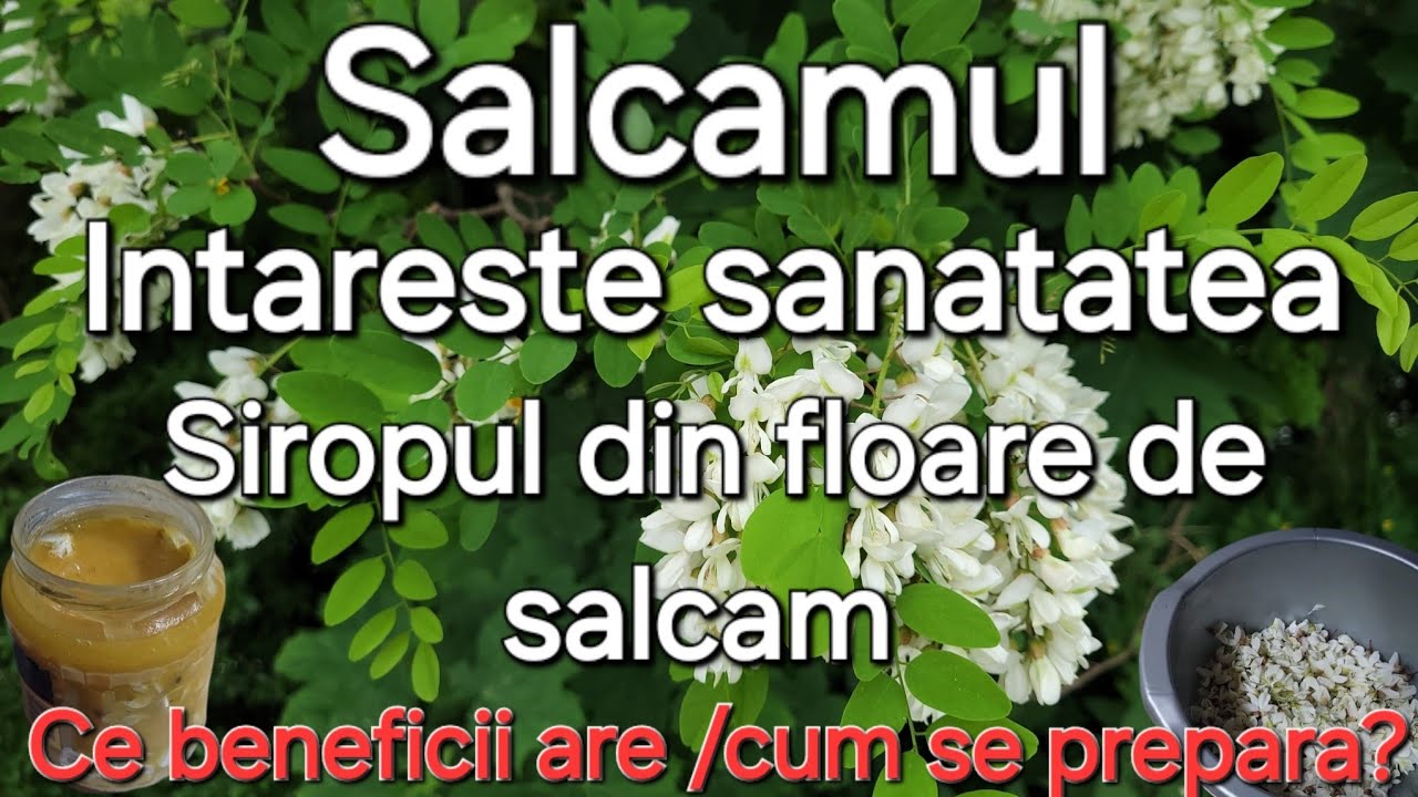 Salcamul - Florea de salcam/ Sirop/ Beneficii uimitoare pentru sănătate
