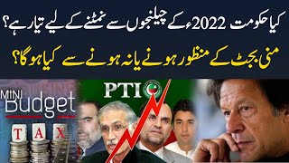 How PTI Government Is Going to Tackle Challenges Coming Next Year After Mini Budget?