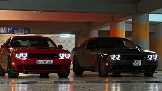 Dodge challenger srt hellcat „4K” ჯოჯოხეთიდან გამოქცეული კატები😈