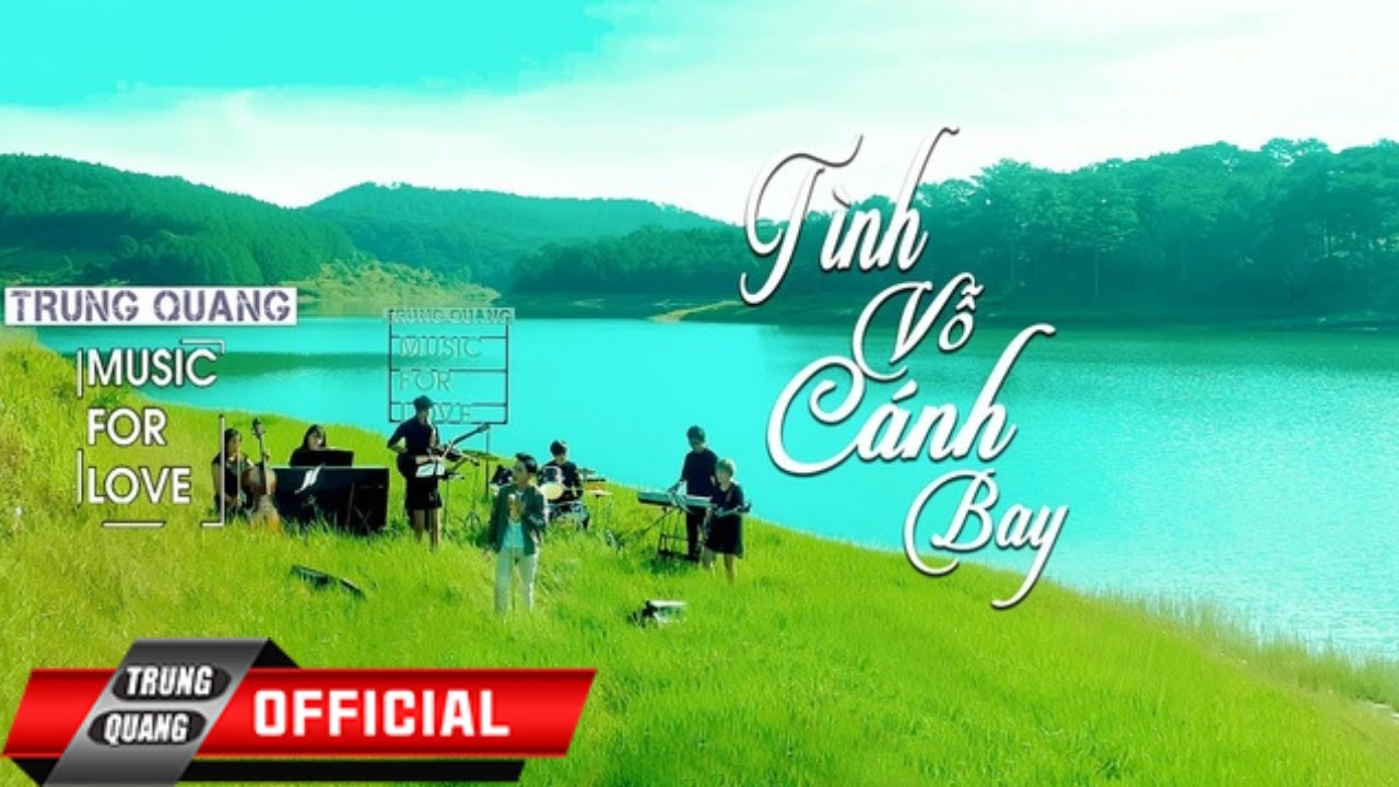 TÌNH VỖ CÁNH BAY || TRUNG QUANG || MUSIC FOR LOVE (SỐ... - youtube