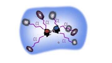 Consciousness and its effect on the expansion of the universe