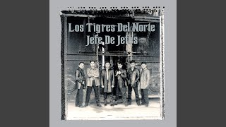 Video thumbnail of "Los Tigres Del Norte - El Tarasco"