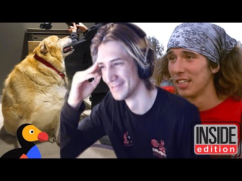 xQc Reacts to Watch What Happens When This Dog Loses 100 Pounds! & More