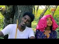 Netsanet birhanu  hamey enha raya      new raya music 2024 offical v720p